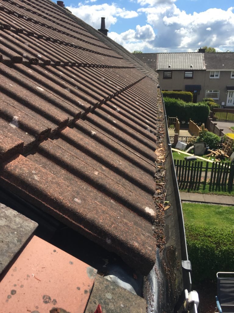 Roof cleaned in Bearsden — mossy roof tiles