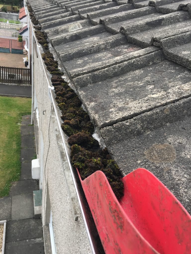 Blocked gutter cleared and flushed in Glenmavis — gutter packed with moss and silt