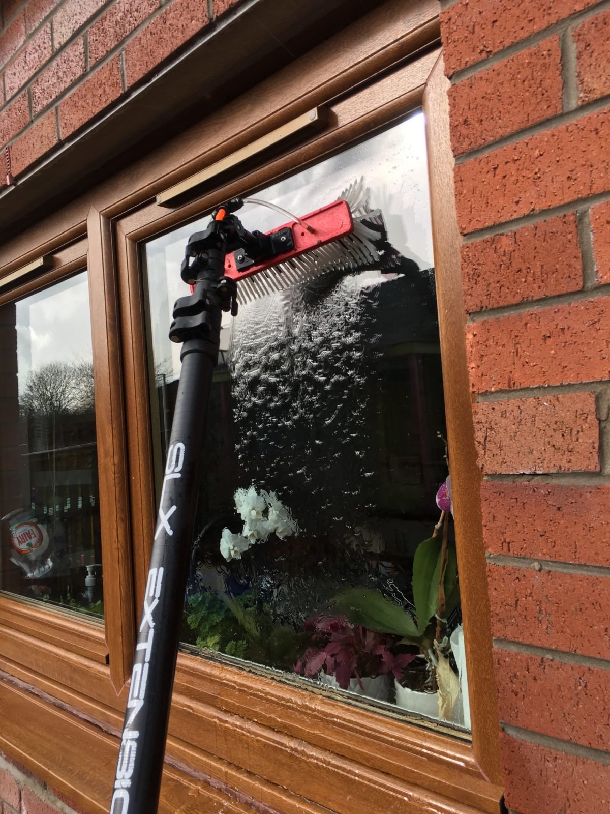 window cleaning