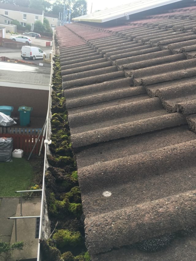 gutter cleaning