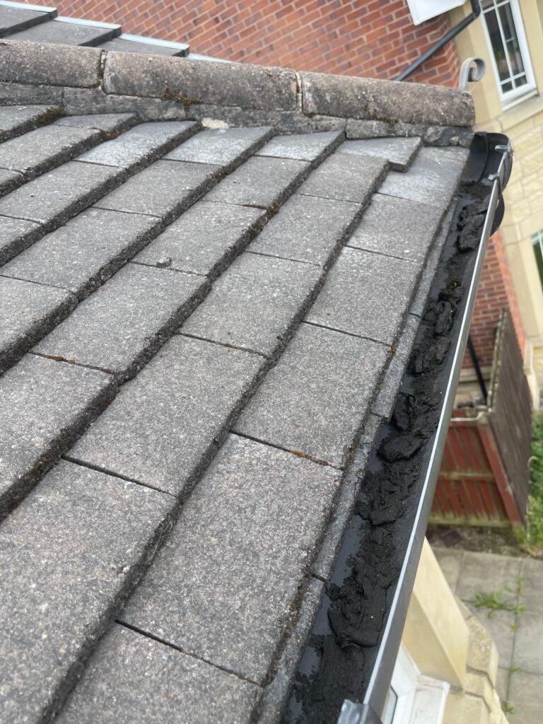 Gutter Cleaning Near Me Airdrie: How to Pick the Right Pro 2 Gutter Cleaning Near Me Airdrie: How to Pick the Right Pro 2