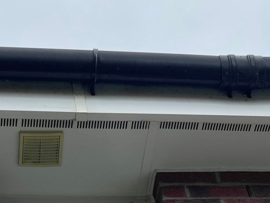 Green Algae on Fascias and Soffits: Why Airdrie Homes Get It 5