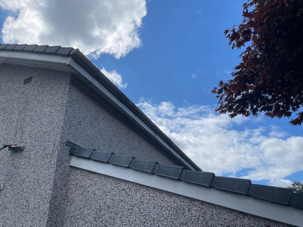 When to Clear Your Gutters in North Lanarkshire (It’s Later Than You Think) 2